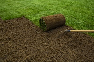Soil Preparation
