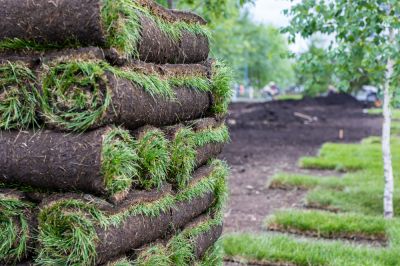 Cut Out Damaged Grass and Replace it With New Sod!