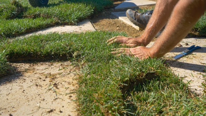 Sod Patching: Techniques and Best Practices