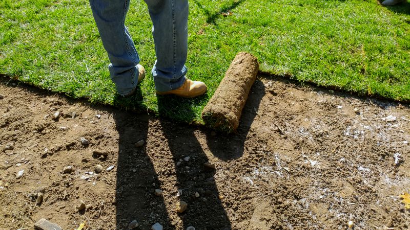 Sod Patching