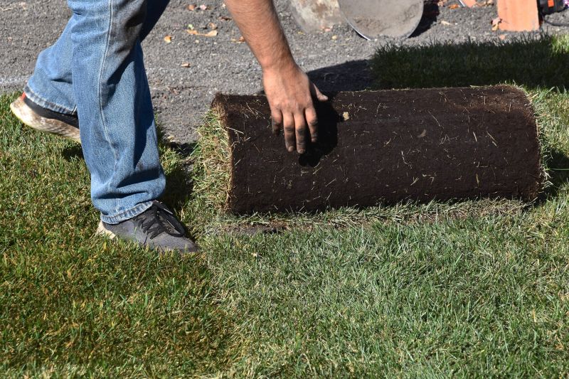 Sod Patching