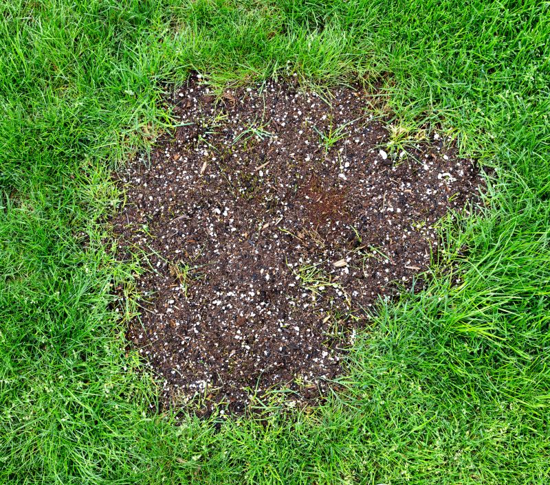 Lawn Repair Process