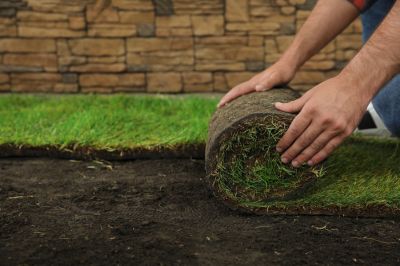 Repair Damaged Areas of Sod with Sod Patching!