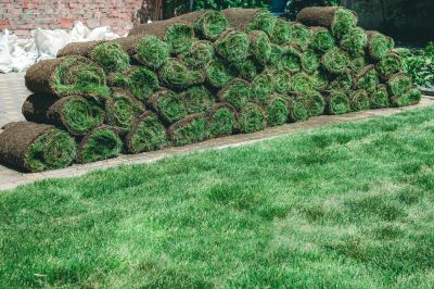 Enhance the Health of Your Grass with Sod Patching!